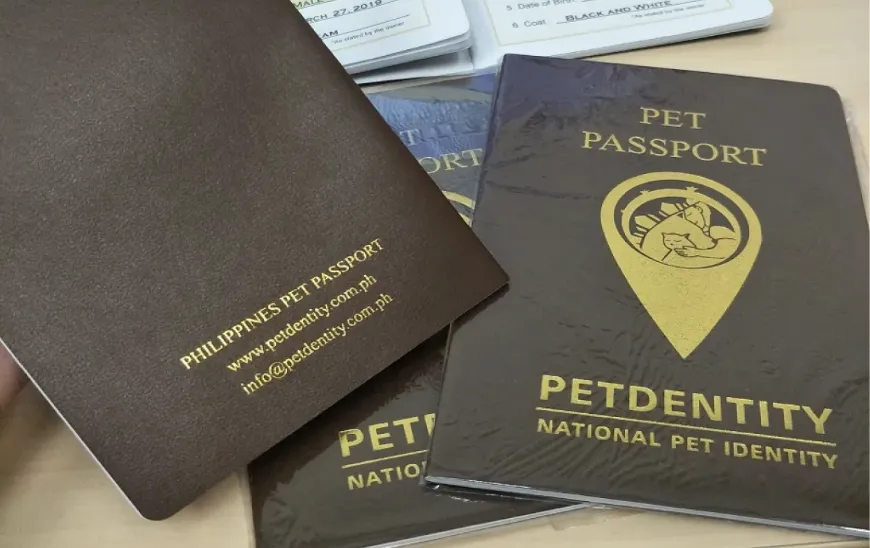 How to Travel to Vietnam with Pets: Regulations and Airport Tips