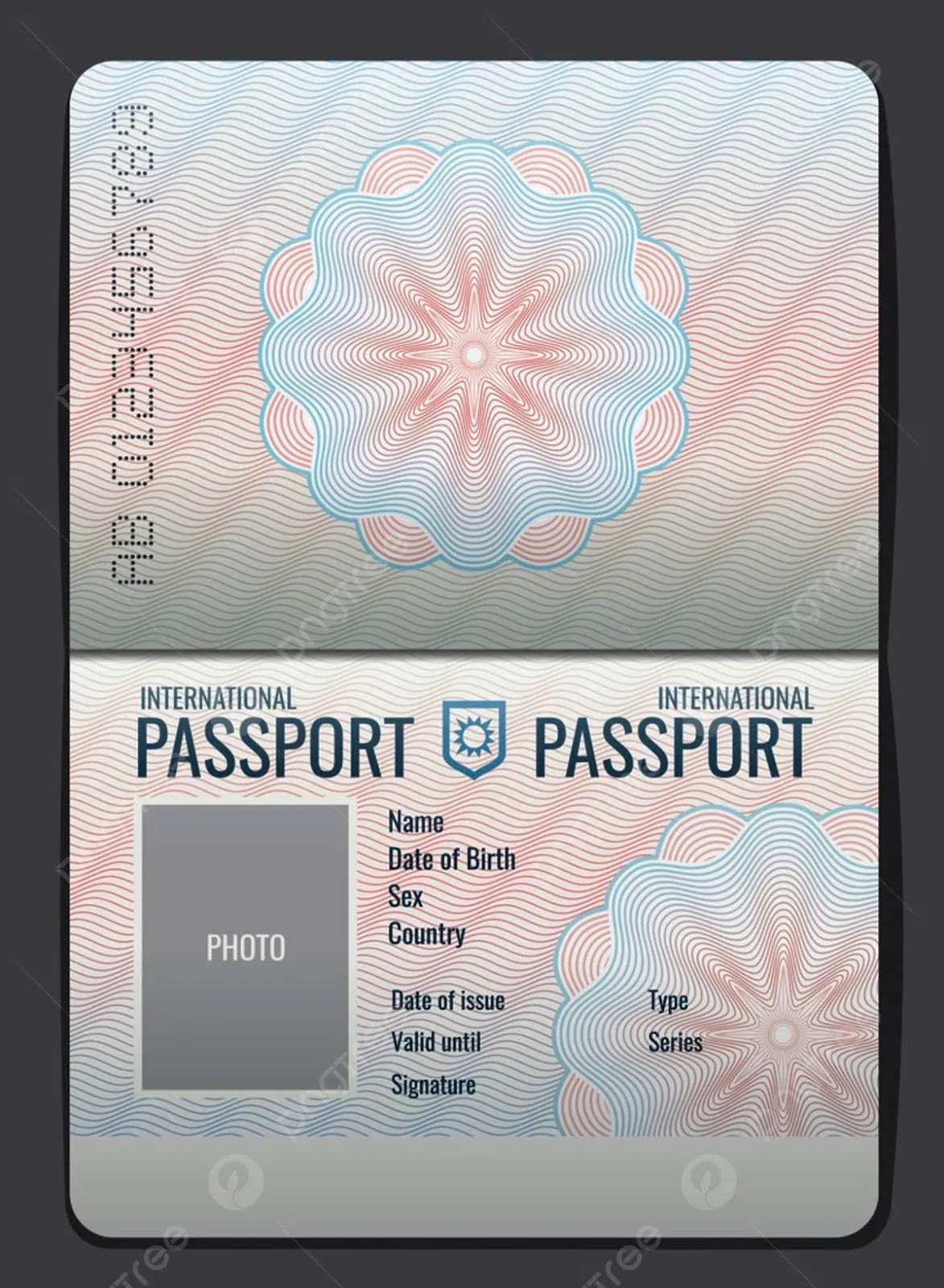 How Long Does Your Passport Have to Be Valid for a Vietnam E-Visa?