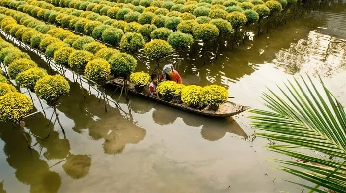 Unique destinations for the sustainable travel: Vietnam that you haven’t ever seen