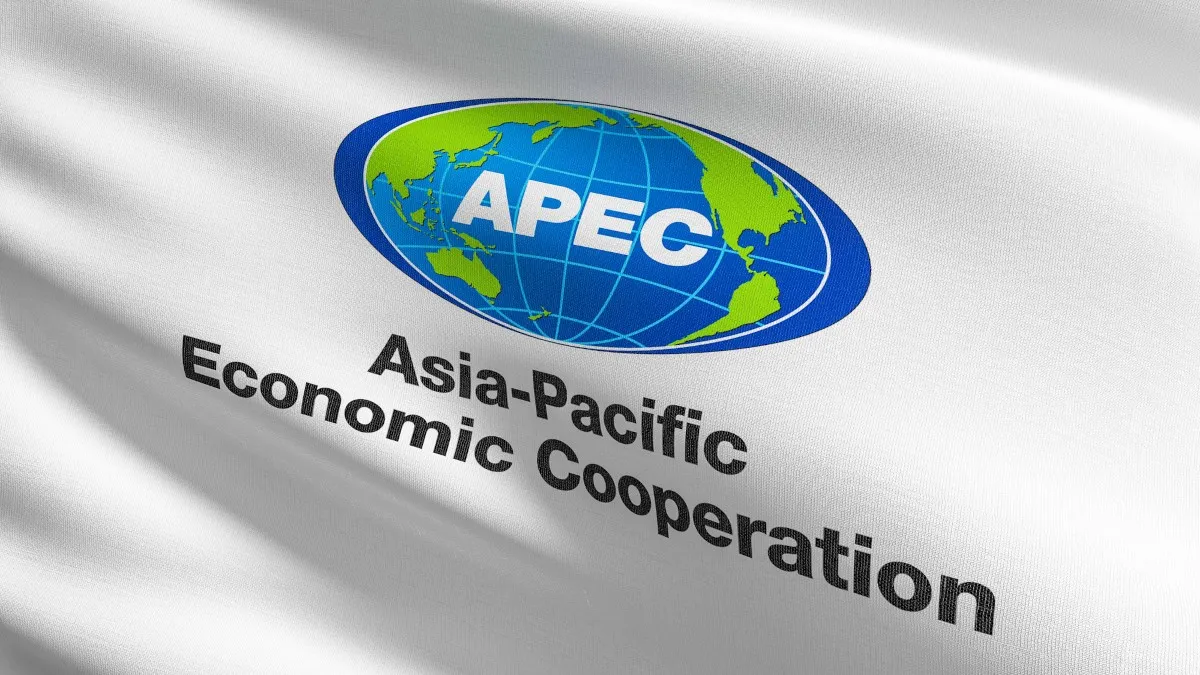 Vietnam Visa Exemption The Ultimate Guide on APEC Business Travel Card
