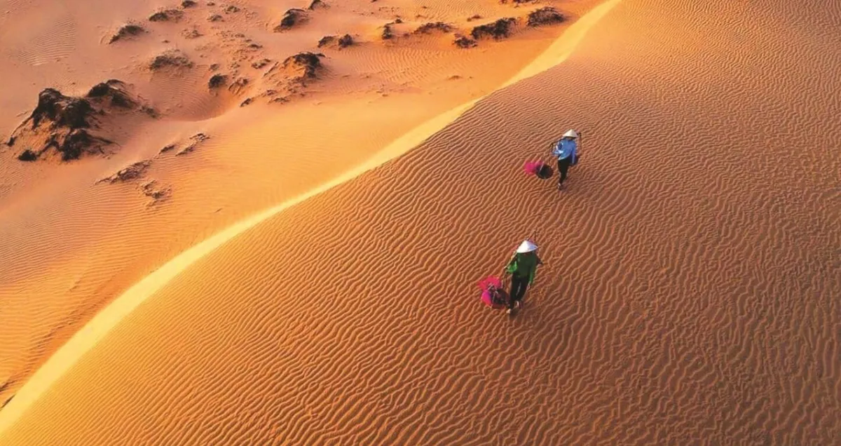 Mui Ne Private Car Service with Professional Drivers at the Best Price