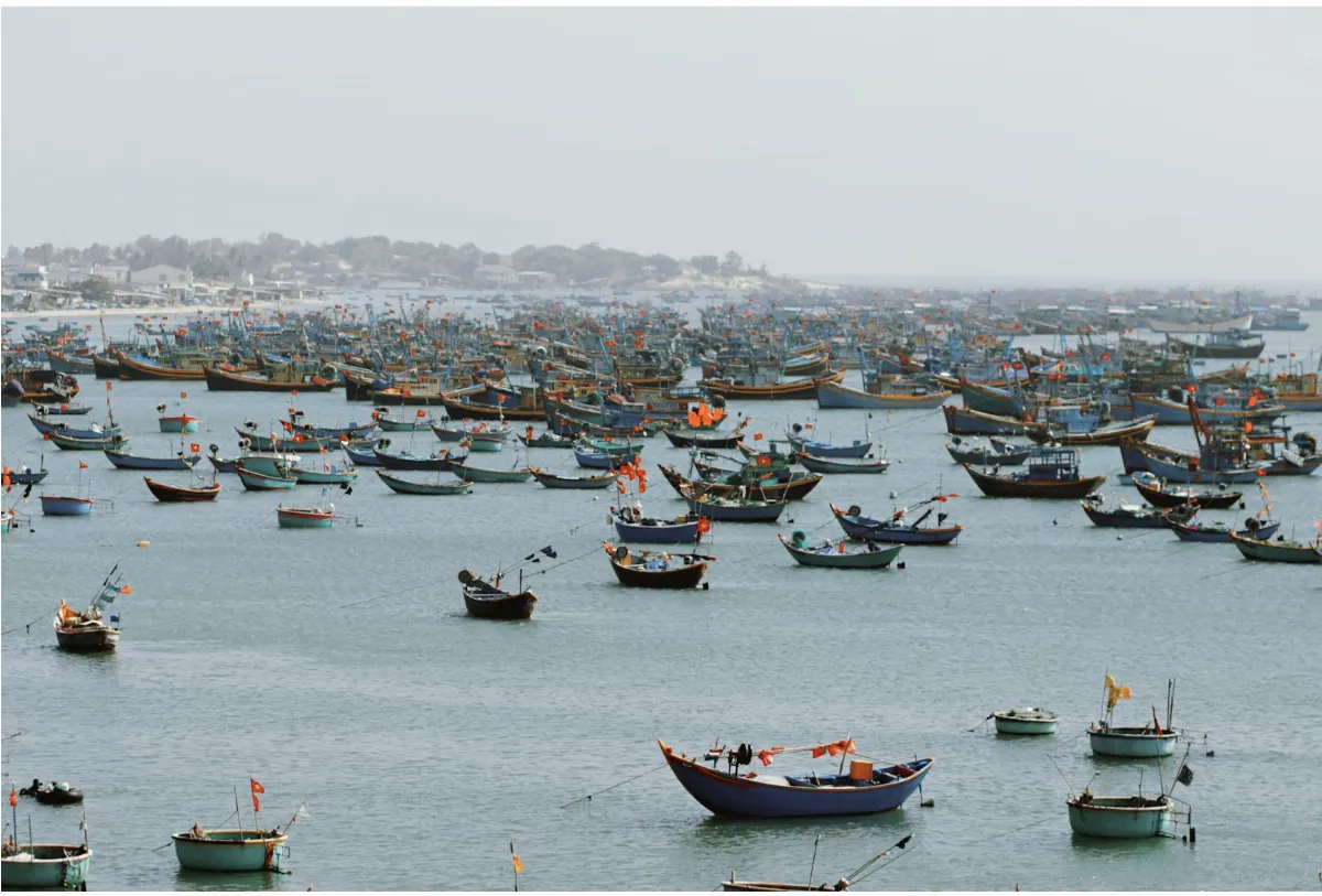 Vietnam E-Visa Update: 41 New Border Gates Added—What Travelers Need to Know