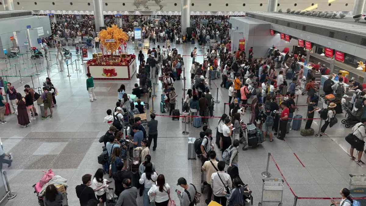 Tan Son Nhat Airport Arrival Guide: Priority Line Waiting Time & VIP B Service Upgrade
