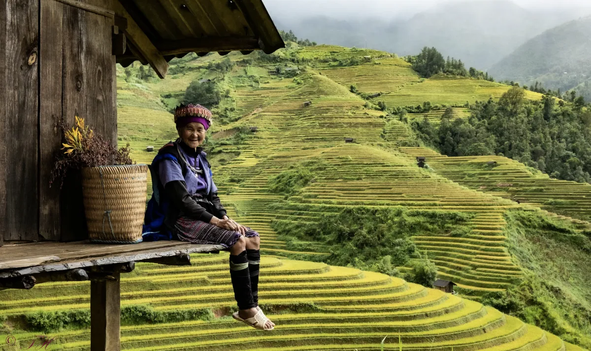 Free Guidance: Vietnam E-Visa – It’s Never Been Easier to Explore Vietnam! (Updated 2026)