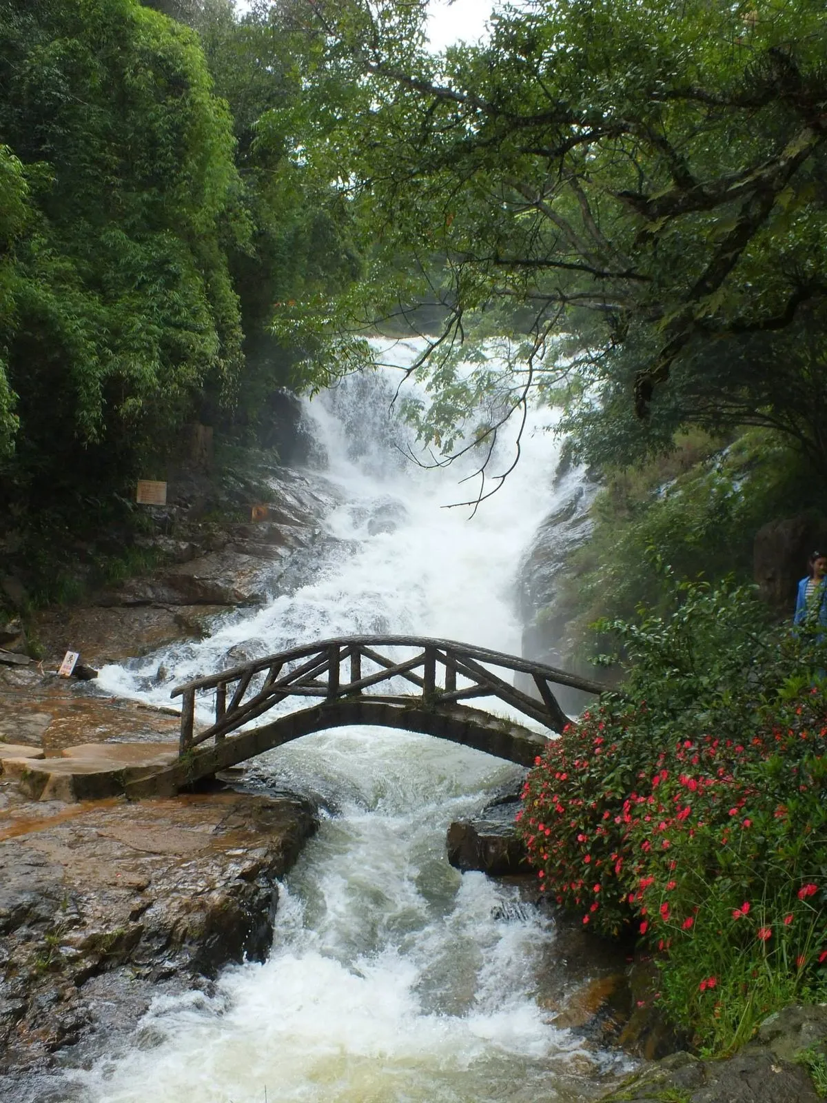 Exploring Da Lat, Vietnam: Scenic Attractions and Essential Travel Guide for International Visitors