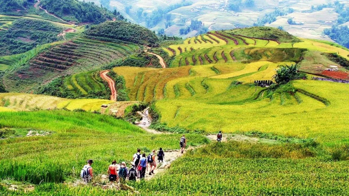 7 Adventurous Things to Do in Vietnam for Thrill-Seeking Travelers
