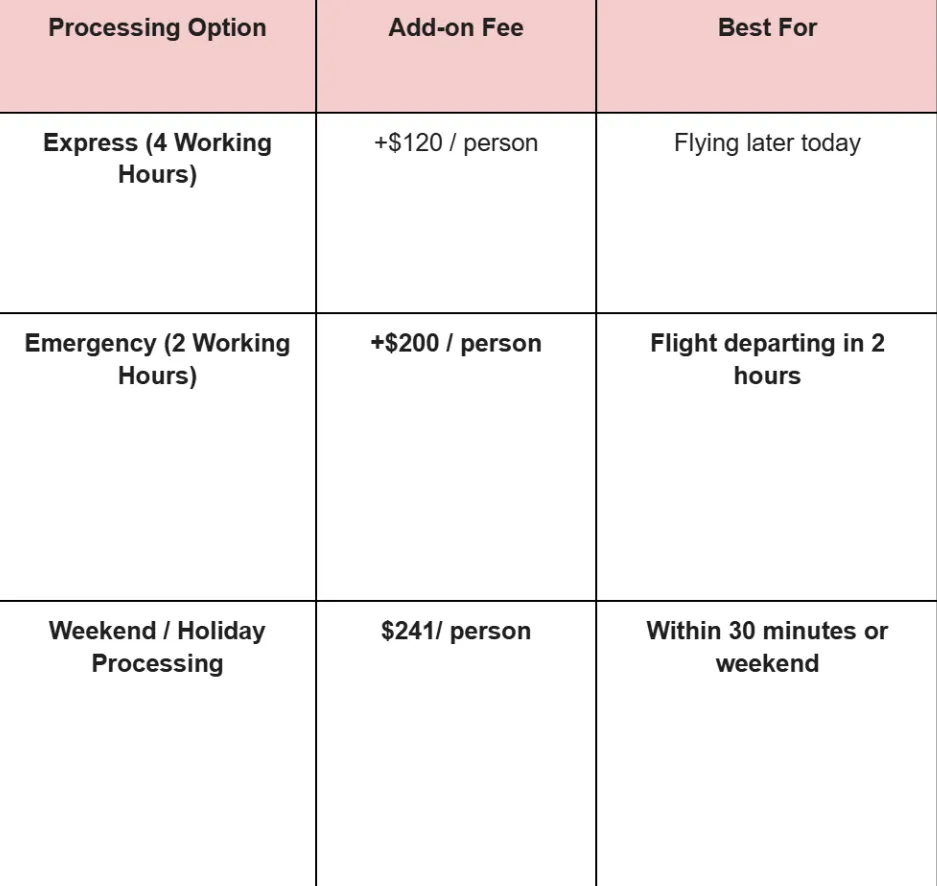 flight-departing-in-3-hours-and-vietnam-visa-still-pending-how-to-accelerate-government-processing-immediately-1