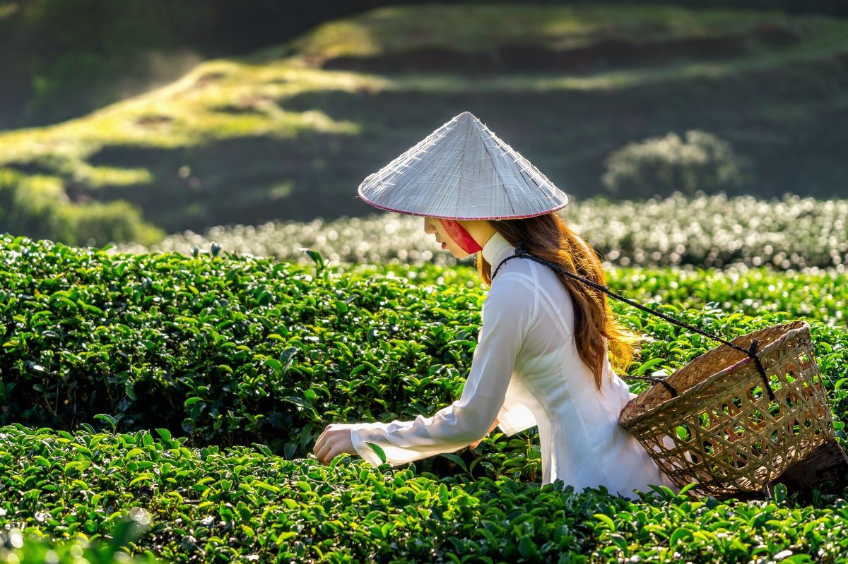 Travel-Ready: Get Your Vietnam 5-Year Visa Exemption Now!