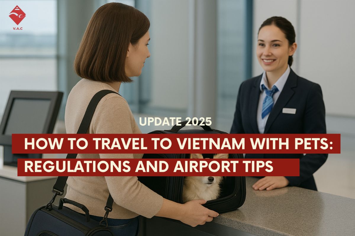 How to Travel to Vietnam with Pets: Regulations and Airport Tips