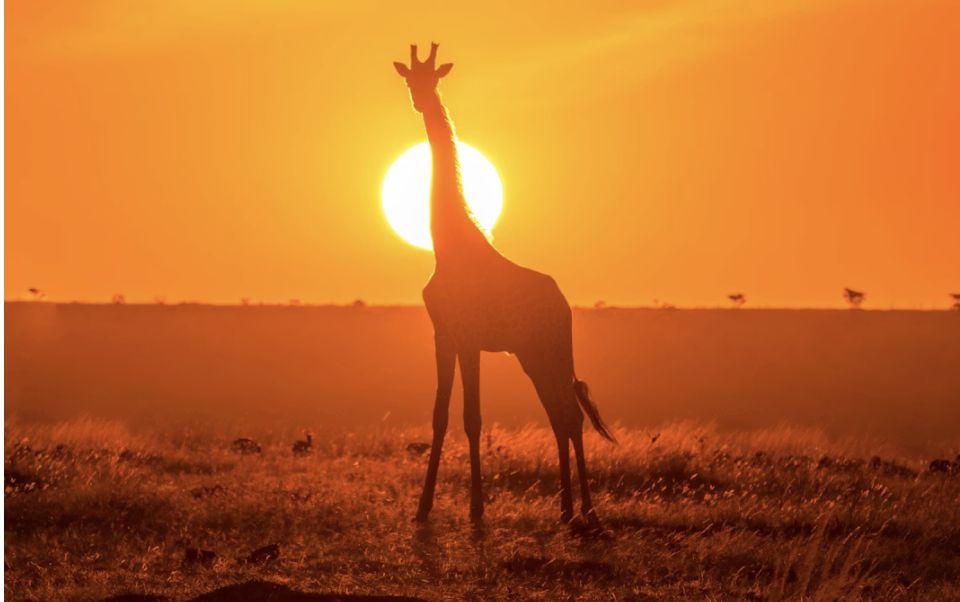 How to Get an Express Vietnam Visa for Kenya Passport Holders (Updated 2025)