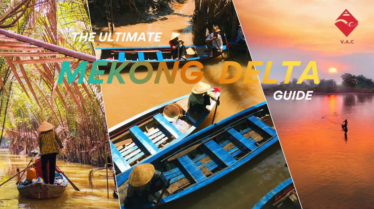 The Ultimate Mekong Delta Guide: Tra Su Cajuput Forest, Local Food & Visa Requirements