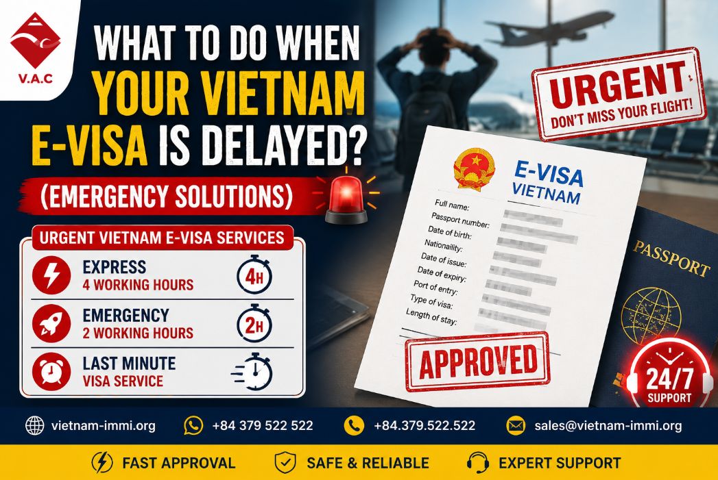 What to Do When Your Vietnam E-Visa is Delayed? (Emergency Solutions)