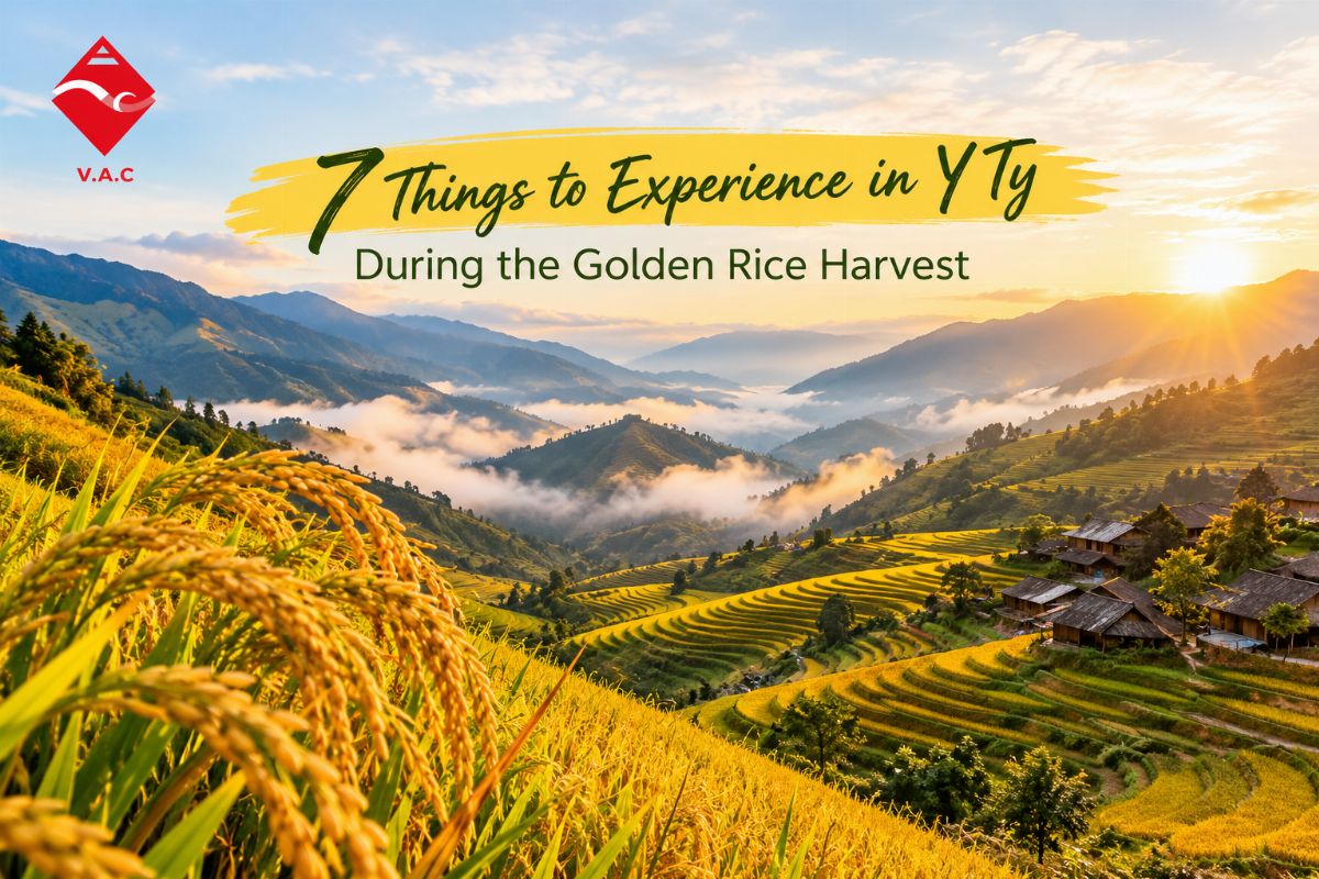 7 Things to Experience in Y Ty During the Golden Rice Harvest