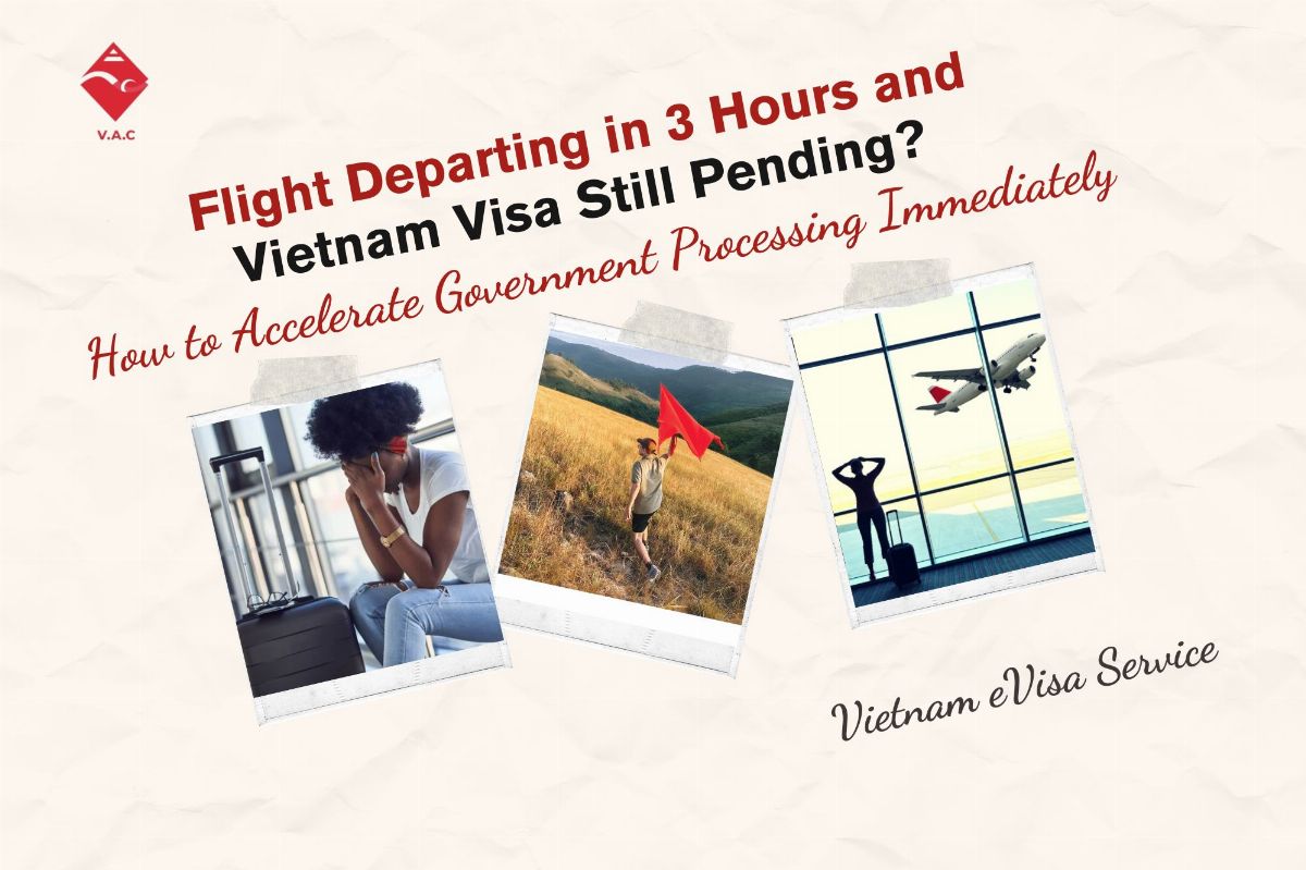 Flight Departing in 3 Hours and Vietnam Visa Still Pending? How to Accelerate Government Processing Immediately